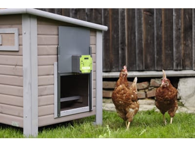 KERBL Hühnerklappe "Easy Protect" 28,5 x 25 cm Komplettset inkl. Steuerung und Führungsschienen für Geflügelställe, grau, 70590