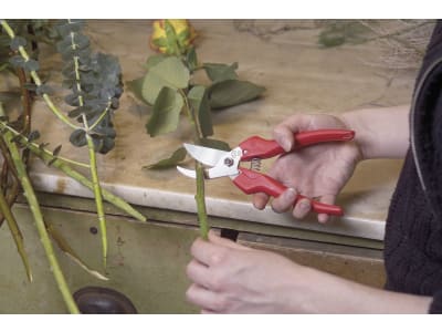 FELCO 300-15 Leseschere 190 mm Für einen präzisen Schnitt FELCO 300-15 Leseschere 190 mm Für einen präzisen Schnitt