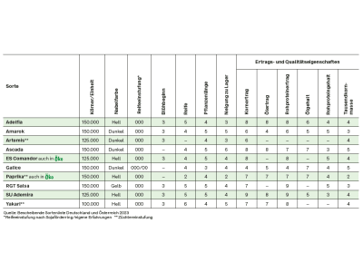 Sojabohne Lidea ES COMANDOR Bio 125000 Körner/EH   ungeimpft ungebeizt 