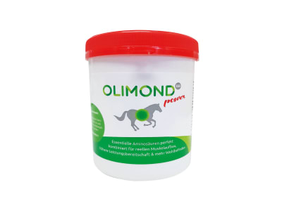 Olimond BB power (Kleinpackung) mit inaktivierter Hefe und essenziellen Aminosäuren 0,5 kg Dose