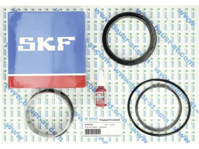 BAUER Reparatursatz Lagerung Haspel Regenmaschine Rainstar E1 Plus, E2 Plus, E3 Plus, E4 Plus, E5 Plus, 8345242 BAUER Reparatursatz Lagerung Haspel Regenmaschine Rainstar E1 Plus, E2 Plus, E3 Plus, E4 Plus, E5 Plus, 8345242