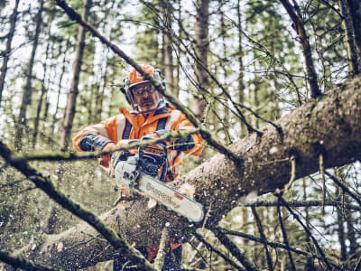 Husqvarna® Benzin-Kettensäge "562 XP® Mark II"