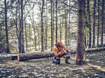 Husqvarna® Benzin-Kettensäge "562 XP® Mark II"