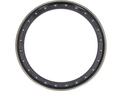 Fendt Wellendichtring für Hinterachsendantrieb Traktor Fendt, Massey Ferguson, Valtra, H822100150040 Fendt Wellendichtring für Hinterachsendantrieb Traktor Fendt, Massey Ferguson, Valtra, H822100150040