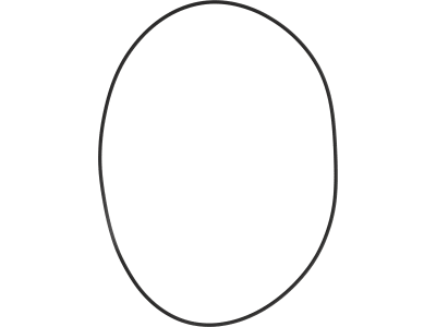 Fendt O-Ring 202,87 x 2,62 mm, für Planetenantrieb Vorderachse Traktor Fendt, Massey Ferguson, Valtra, Feldhäcksler Fendt, X549032500000 Fendt O-Ring 202,87 x 2,62 mm, für Planetenantrieb Vorderachse Traktor Fendt, Massey Ferguson, Valtra, Feldhäcksler Fendt, X549032500000