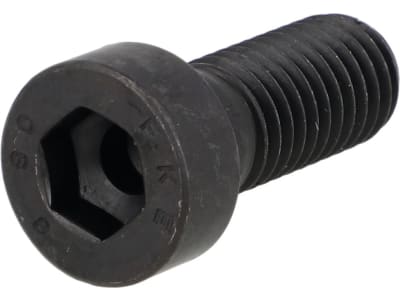 Fendt Innensechskantschraube DIN 6912, M 10 x 25 - 8.8, , für , X493613105000 Fendt Innensechskantschraube DIN 6912, M 10 x 25 - 8.8, , für , X493613105000