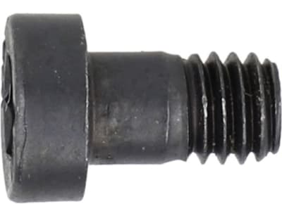 Fendt Zylinderschraube M 6 x 10 mm, für , X493604705000