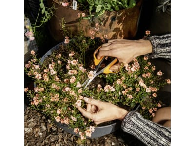 Fiskars Solid™ Universalgartenschere SP150 Fiskars Solid™ Universalgartenschere SP150