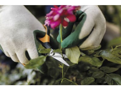 Fiskars Solid™ Universalgartenschere SP150 Fiskars Solid™ Universalgartenschere SP150