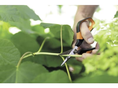 Fiskars Solid™ Universalgartenschere SP150 Fiskars Solid™ Universalgartenschere SP150