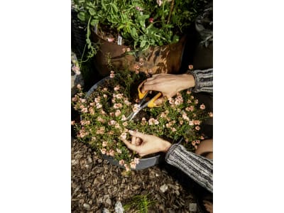 Fiskars Solid™ Universalgartenschere SP150 Fiskars Solid™ Universalgartenschere SP150