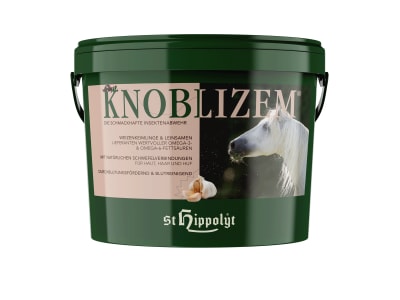 St. Hippolyt Knoblizem mit Knoblauch und Kräutern 10 kg Eimer