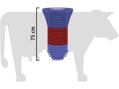 HappyCow Kuhbürste "FlexiSwing" 43,5 x 151 cm, Borstenbesatz PP (Polypropylen), rot/blau, für Rinder und Pferde, 18670