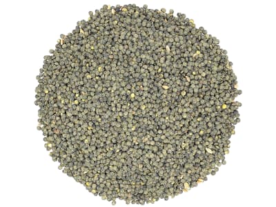 Tellerlinse Saatgut Reka ungebeizt 1.000 kg BigBag  