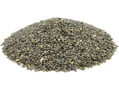 Tellerlinse Saatgut Reka ungebeizt 1.000 kg BigBag  