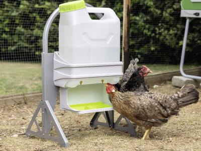 SmartCoop Standfüße für Geflügeltränke und Futterautomat, 400 x 400 x 715 mm, höhenverstellbar, 70655 SmartCoop Standfüße für Geflügeltränke und Futterautomat, 400 x 400 x 715 mm, höhenverstellbar, 70655