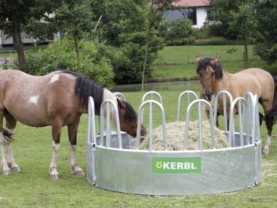 KERBL Heuraufe Ø innen/außen 2,19/2,36 m, 12 Fressplätze, feuerverzinkt, für Pferde, 291258 KERBL Heuraufe Ø innen/außen 2,19/2,36 m, 12 Fressplätze, feuerverzinkt, für Pferde, 291258