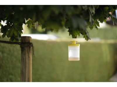Cit Fliegenfalle "FlyCage3" für den Außenbereich, 299131 Cit Fliegenfalle "FlyCage3" für den Außenbereich, 299131