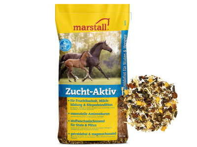marstall® Zucht-Aktiv getreidefreies Müsli für Zuchtstuten, Deckhengste und Fohlen 20 kg Sack marstall® Zucht-Aktiv getreidefreies Müsli für Zuchtstuten, Deckhengste und Fohlen 20 kg Sack