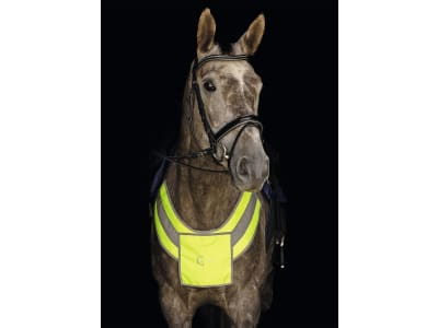 KERBL Vorderzeug "Reflex" für Pony bis Warmblut, 3228169 KERBL Vorderzeug "Reflex" für Pony bis Warmblut, 3228169