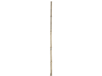 KERBL Gerätestiel Länge 100 cm aus Bambus, für Reisigbesen, 29498 KERBL Gerätestiel Länge 100 cm aus Bambus, für Reisigbesen, 29498