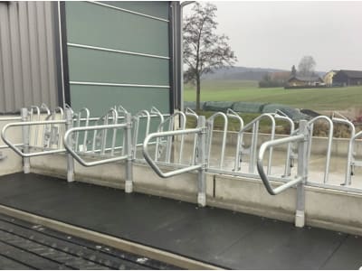 Fressgitter für Rinder Fressgitter für Rinder