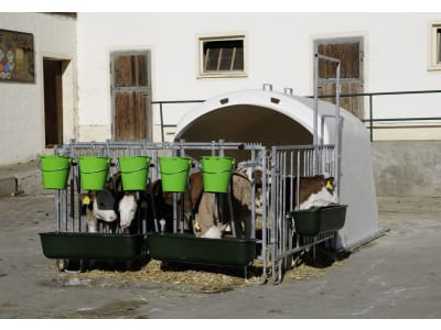 KERBL Kälberiglu "CalfHouse Premium XL" für 5 Kälber, mit Umzäunung, 14520