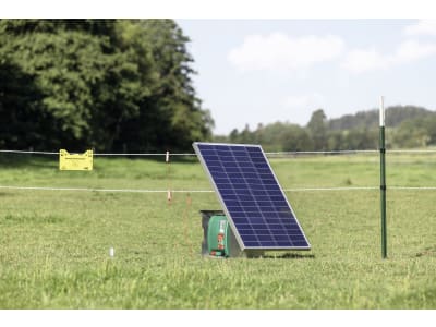 Ako Weidezaungerät "Duo Power Xi 8000 smart" 12 V; 230 V, 372879 Ako Weidezaungerät "Duo Power Xi 8000 smart" 12 V; 230 V, 372879