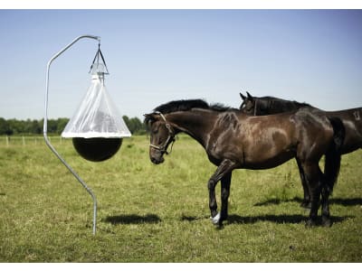 KERBL Bodenhalter für Bremsenfalle TaonX, Fliegenfalle FlyCage, Heunetz, Futtersack Hay Bag uvm., 326104 KERBL Bodenhalter für Bremsenfalle TaonX, Fliegenfalle FlyCage, Heunetz, Futtersack Hay Bag uvm., 326104