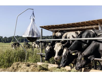 KERBL Bodenhalter für Bremsenfalle TaonX, Fliegenfalle FlyCage, Heunetz, Futtersack Hay Bag uvm., 326104 KERBL Bodenhalter für Bremsenfalle TaonX, Fliegenfalle FlyCage, Heunetz, Futtersack Hay Bag uvm., 326104