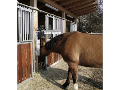 KERBL Kratzbürste "Texas" Bürste 500 x 100 mm, für Rinder, Kälber, Pferde uvm., 29310