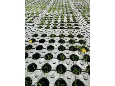 INB® Paddockplatte 50 x 50 x 5,3 cm, 1 St., für Tierhaltung, Garten- und Landschaftsbau und Bauwesen INB® Paddockplatte 50 x 50 x 5,3 cm, 1 St., für Tierhaltung, Garten- und Landschaftsbau und Bauwesen