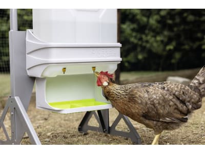 SmartCoop Geflügeltränke 10 l inkl. Wandhalter, für Geflügelställe, 70651