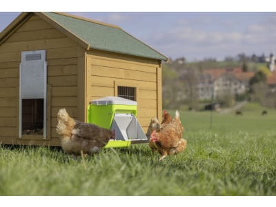 SmartCoop Futterautomat 7,5 kg mit Trittklappe, Kunststoff, für Hühner, 70660