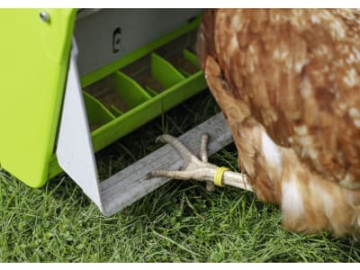 SmartCoop Futterautomat 7,5 kg mit Trittklappe, Kunststoff, für Hühner, 70660