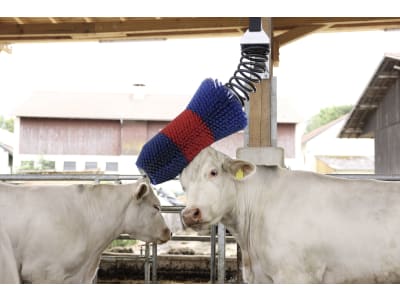 HappyCow Kuhbürste "FlexiSwing" 435 x 1.510 x 1.015 mm, Borstenbesatz PP (Polypropylen), rot/blau, für Rinder und Pferde, 18670