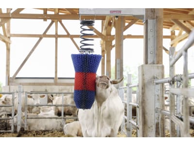 HappyCow Kuhbürste "FlexiSwing" 435 x 1.510 x 1.015 mm, Borstenbesatz PP (Polypropylen), rot/blau, für Rinder und Pferde, 18670