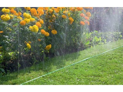 Gardena Premium Schlauchregner Bewässerungsschlauch ohne Wasserstop ohne Wasserstop  15 m 01998-20