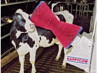 HappyCow Kuhputzmaschine "Happycow Uno"