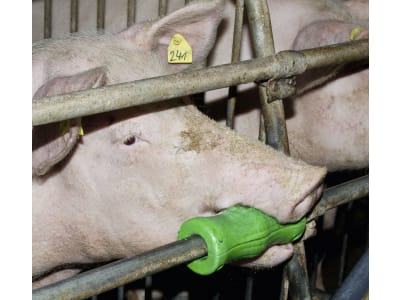 KERBL Beißzylinder für Schweine, 22650 KERBL Beißzylinder für Schweine, 22650