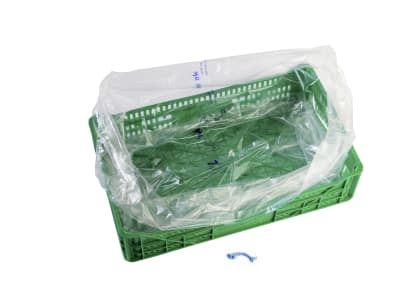 Xtend® Folienbeutel für Kirschen Xtend® Folienbeutel für Kirschen