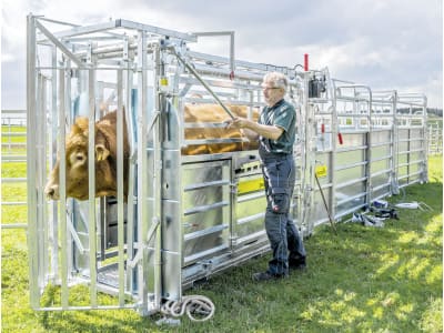 Patura Klauenpflegestand "A 8000" für die Behandlung und Untersuchung von Weidetieren, 302800