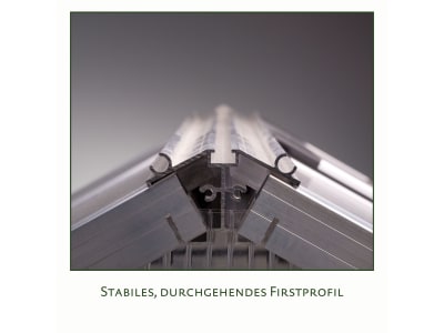 KGT Gewächshaus Callas III  pressblank Geteilte Drehtür (abschließbar) 