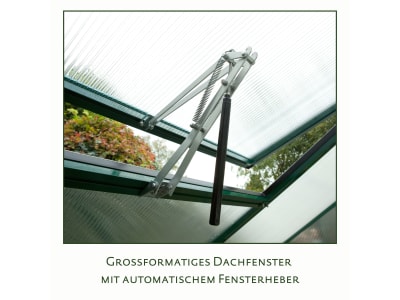 KGT Gewächshaus Callas III  pressblank Geteilte Drehtür (abschließbar) 