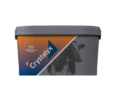 Crystalyx® Rumilyx hochwertige Leckmasse für Milchkühe zur Unterstützung in der Transitphase oder bei Hitzestress  22,5 kg Kübel