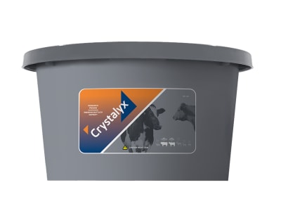Crystalyx® Rumilyx hochwertige Leckmasse für Milchkühe zur Unterstützung in der Transitphase oder bei Hitzestress  80 kg Kübel
