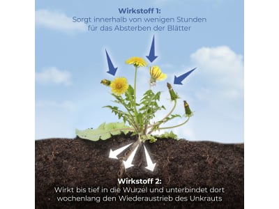 Protect Garden Permaclean Duo Unkraut & Wurzel-Ex 500 ml Schachtel  90 m²