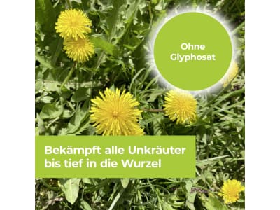 Protect Garden Permaclean Duo Unkraut & Wurzel-Ex 500 ml Schachtel  90 m²