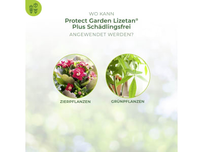 Protect Garden Lizetan Plus Schädlingsfrei 100 ml  Konzentrat gegen Weiße Fliegen, Schildläuse und Blattläuse 