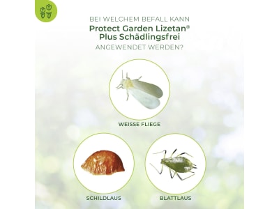 Protect Garden Lizetan Plus Schädlingsfrei 100 ml  Konzentrat gegen Weiße Fliegen, Schildläuse und Blattläuse 